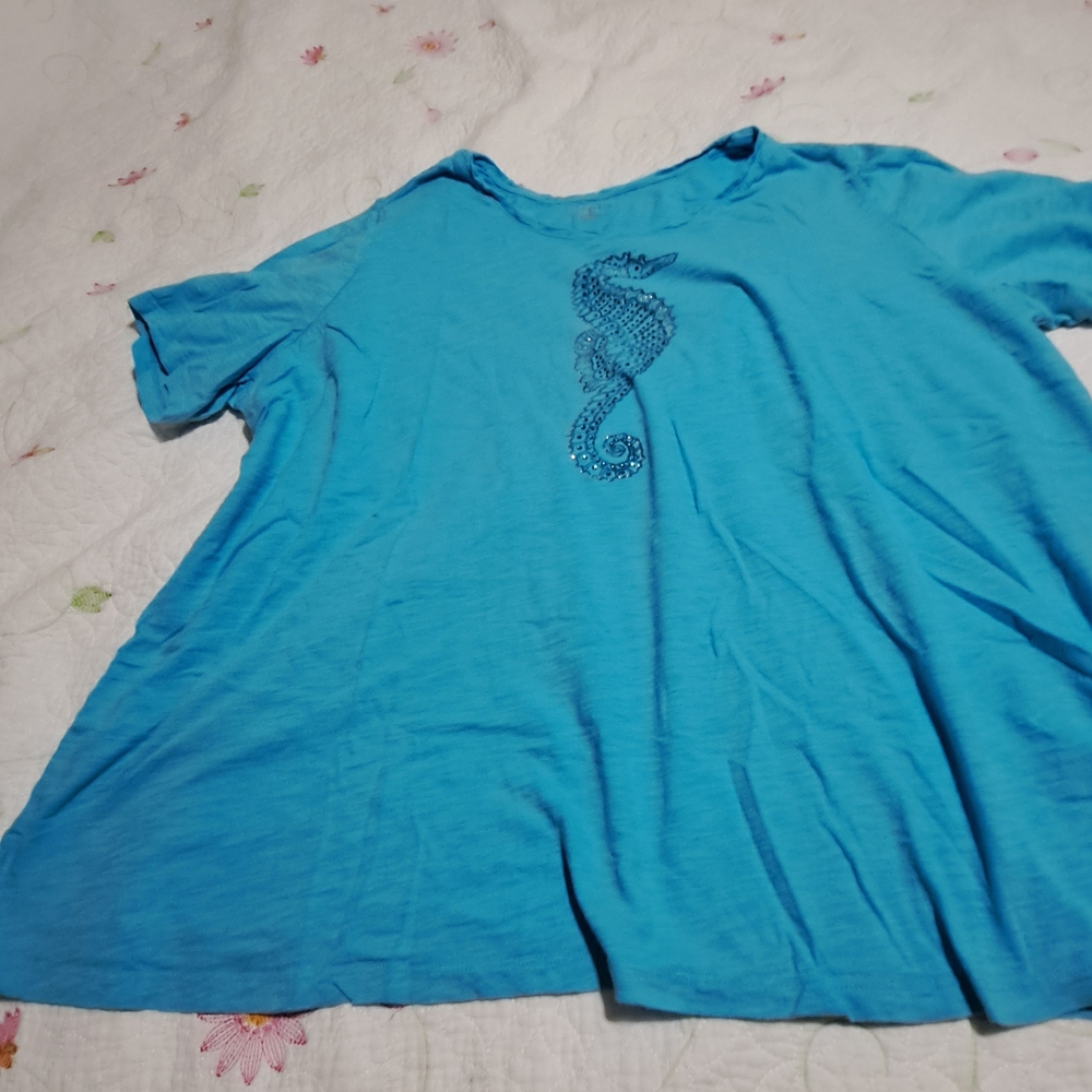 Catherines Turquoise Top
